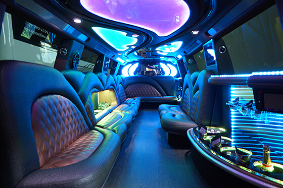 party bus for 20 passengers